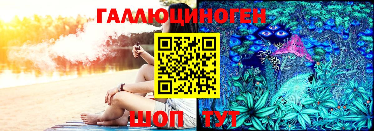 Карачаевск  Галлюциногенные грибы прущие грибы  Вход с VPN 