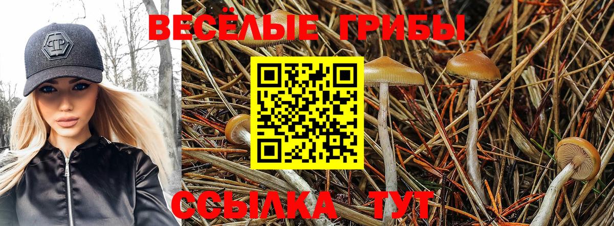Галлюциногенные грибы MAGIC MUSHROOMS Карачаевск